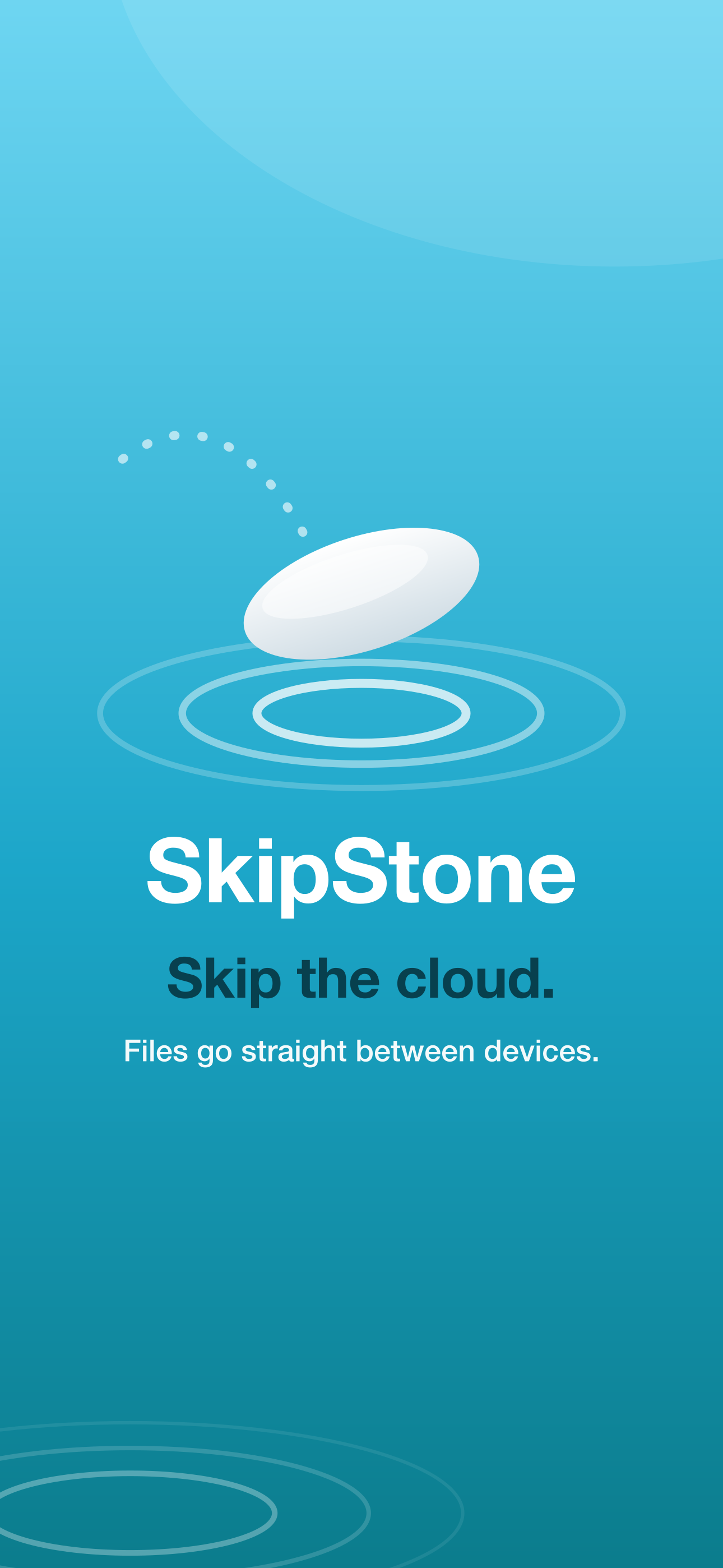 SkipStone hero panel